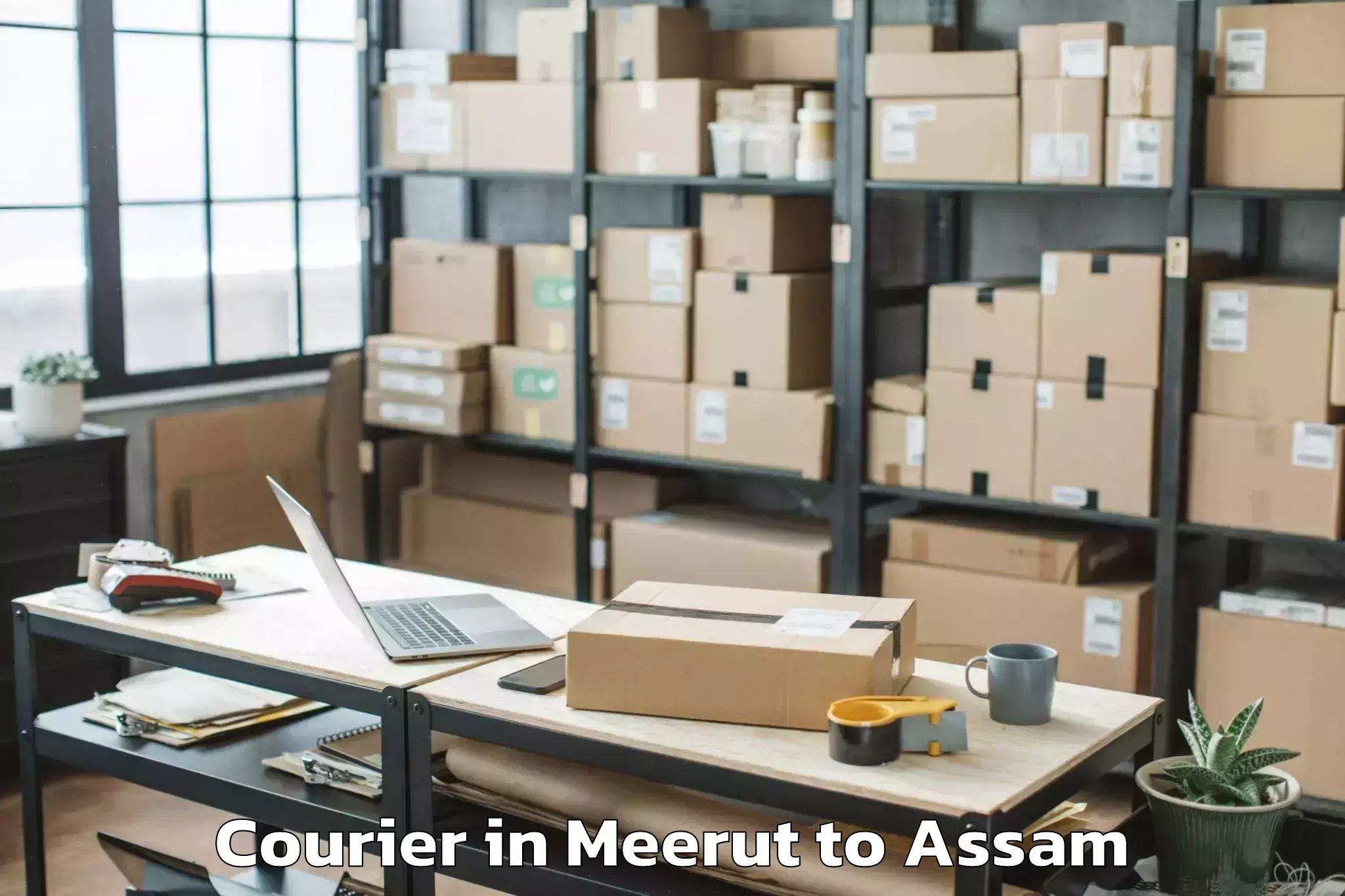 Book Meerut to Sarthebari Courier Online